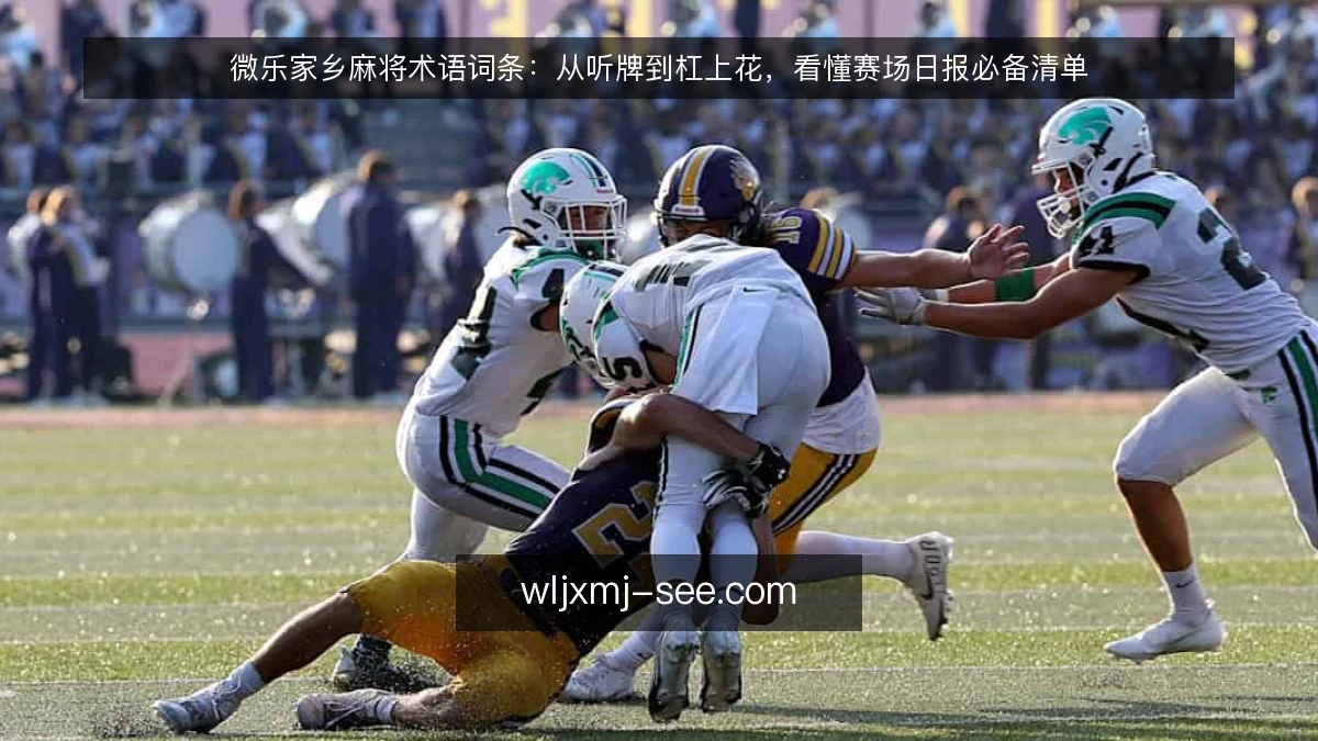 微乐家乡麻将术语词条:从听牌到杠上花,看懂赛场日报必备清单