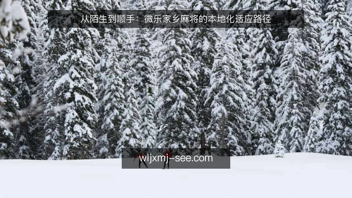 从陌生到顺手：微乐家乡麻将的本地化适应路径