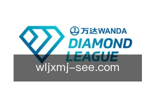 微乐家乡麻将
